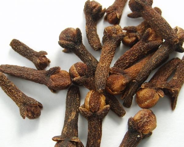 5 recomendaciones para eliminar la polilla de la ropa