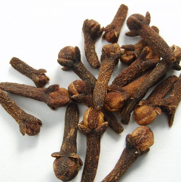 5 recomendaciones para eliminar la polilla de la ropa